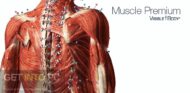 Visible Body Muscle Premium Free Download image 1